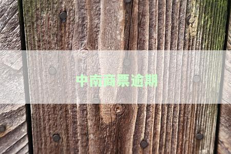 中南商票逾期会受到何种处罚？