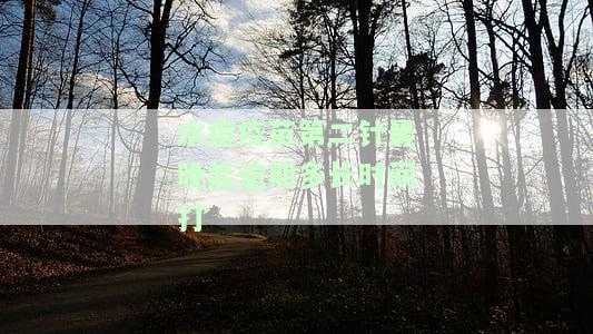 水痘第二针最晚接种年龄限制：你不可不知的重要信息