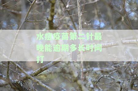 水痘第二针接种时间：最可推多久？