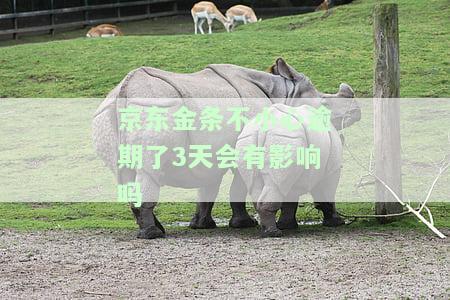 京东金条不小心逾期了3天会有影响吗