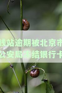 钱站倒闭了,公安冻结银行卡，钱站破产，公安部门冻结用户银行卡