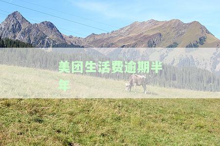 美团生活费逾期半年收到立案通知，应尽快处理