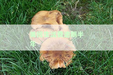 美团生活费逾期半年-美团生活费逾期半年没还后果会怎么样