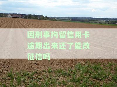 刑事拘留后信用卡逾期解决方案：如何应对逾期问题？