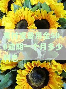 支付宝500元备用金逾期是否会影响购房？