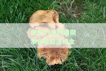 违约金与实际损失不时的处理：低于或明显高于损失的情况