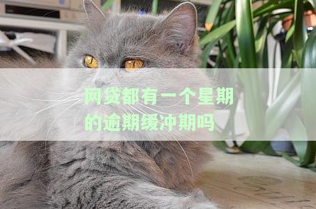 网贷都有一个星期的逾期缓冲期吗是真的吗，网贷是否都提供一个星期的逾期缓冲期？真相大揭秘！