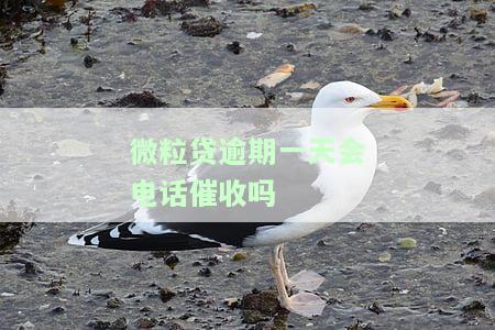 微粒贷逾期1天会打电话吗？真相及解决方法