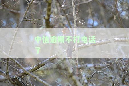 中信逾期两个月不接电话会否被起诉？