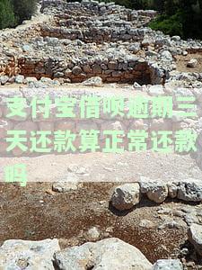 支付宝借呗逾期三天还款算正常还款吗