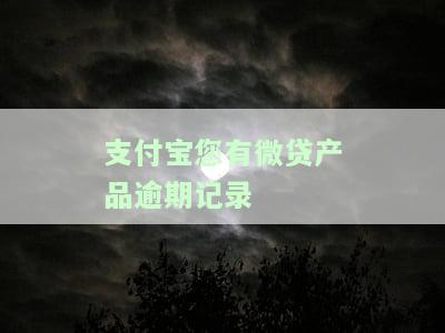 支付宝您有微贷产品逾期记录