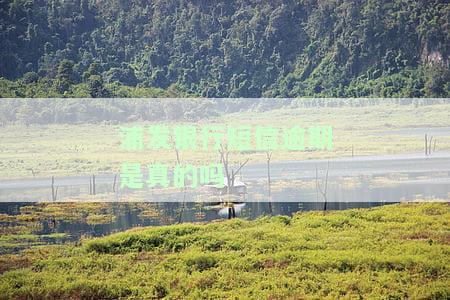 浦发银行催款短信：图片与真实性