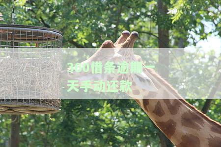 逾期一天手动还款有影响吗？答案在这里！