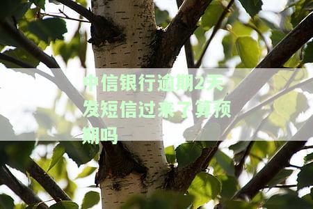 中信银行逾期2天发短信过来，真的会算作预期并影响征信吗？