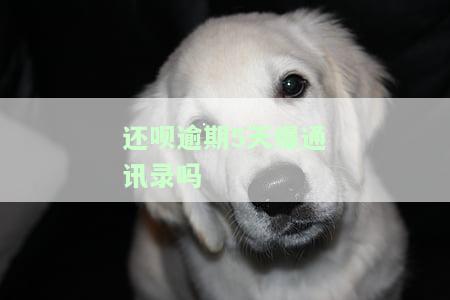 还呗逾期5天爆通讯录？后果及处理方式解析
