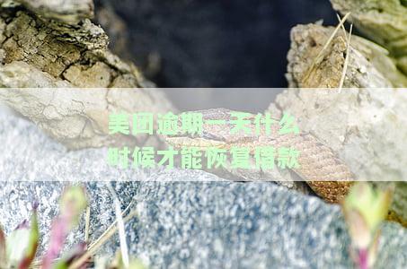 美团逾期一天还可以借款吗，美团借贷：逾期一天是否还能借款？