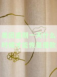 美团逾期一天什么时候才能恢复借款