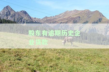 股东有逾期历史企业贷款