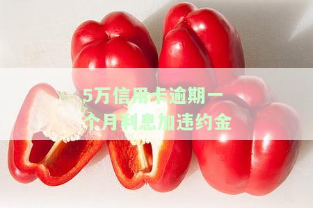 5万信用卡每月违约金多少，如何计算每月5万元信用卡违约金？