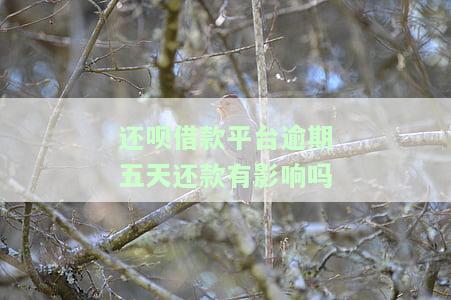 还呗借款平台逾期五天还款有影响吗，逾期五天还款对还呗借款平台有何影响？