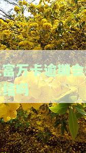 玖富万卡逾期不还会进征信黑名单吗？影响及解决办法全解析