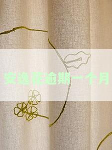 安逸花逾期一个月说要起诉立案是真的吗，安逸花逾期一个月，被威胁起诉立案是否真实？