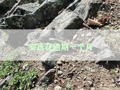 安逸花逾期一个月怎么处罚？会对信用卡有影响吗？多久能再借款？