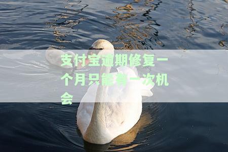 支付宝逾期一个月一次性还清多久恢复信用，如何恢复逾期一个月后一次性还清的支付宝信用记录？