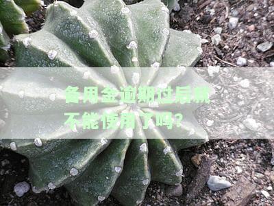 备用金逾期后能否继续使用？原因解析及必要还款说明