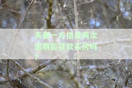 夫妻一方信贷两次逾期能贷款买房吗?-夫妻一方信贷两次逾期能贷款买房吗知乎