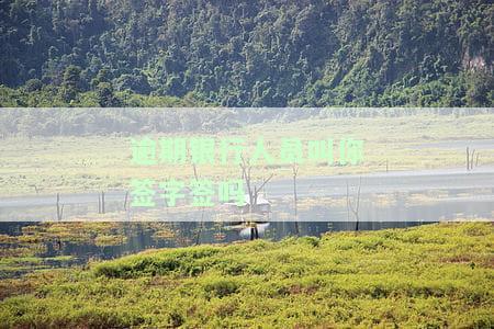 银行逾期通知书：该不该签？担保人与协商期的关系