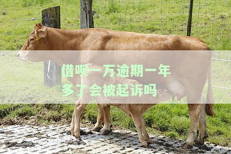 借呗一万多逾期一年会怎么样，逾期一年，借呗欠款一万多元会产生什么后果？
