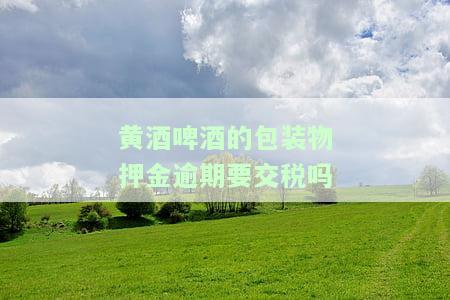 啤酒黄酒包装物押金逾期征收增值税：为何不征消费税？