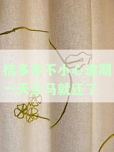 桔多多逾期两天会怎么样，警惕！桔多多逾期两天可能带来的后果