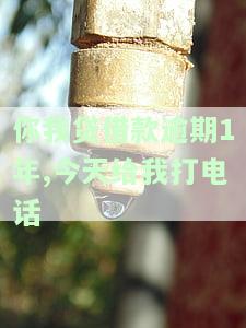 你我贷借款逾期2年，今日收到催款电话，确认是否真实？
