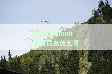 微粒贷30000逾期罚息计算方法及逾期300多天后果