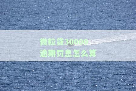 微粒贷逾期3万，逾期3万的微粒贷：你需要注意什么？