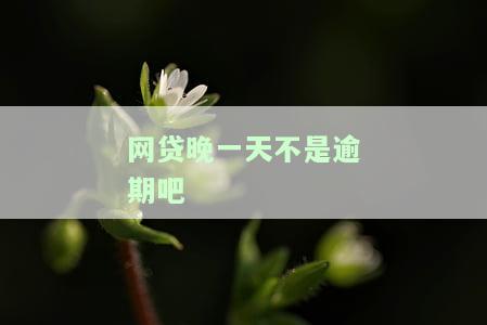 网贷晚一天是否算逾期？该如何处理？