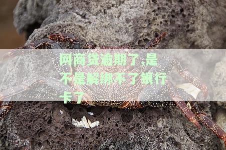 网商贷逾期了,是不是解绑不了银行卡了，网商贷逾期未还，能否继续使用绑定的银行卡？
