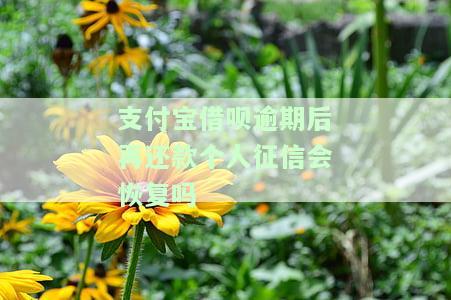 支付宝借呗逾期后还款，个人征信能否恢复？安全性如何？