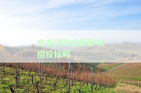 企业贷款逾期后还能展期吗，企业贷款逾期后是否可以申请展期？