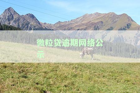 微粒贷逾期页面，重要提醒：请尽快处理微粒贷逾期，避免不必要的损失！