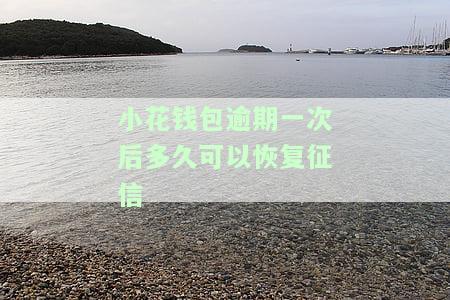 小花钱包逾期过一次是不是以后就不能借款了，逾期一次会影响小花钱包的再次借款吗？