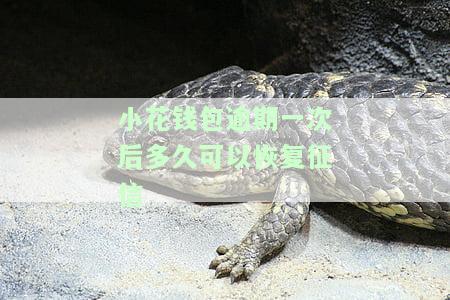 小花钱包逾期一次后多久可以恢复征信-小花钱包逾期一次后多久可以恢复征信记录
