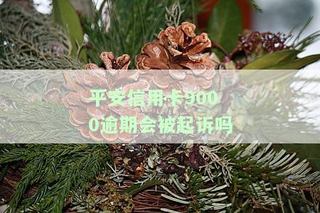 平安信用卡9000逾期是否会被起诉？知乎用户分享经验