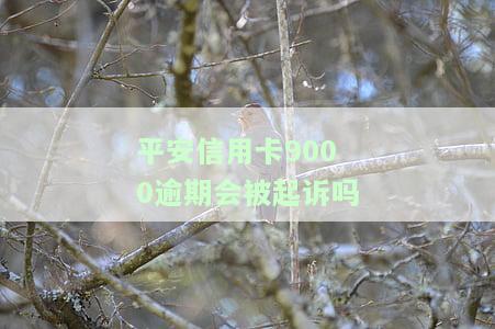 平安信用卡9000逾期被起诉风险及解决办法