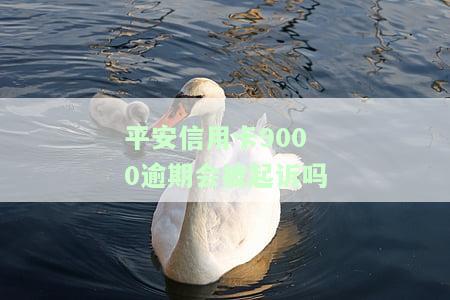 拖欠平安银行信用卡9000多元是否会被判刑？