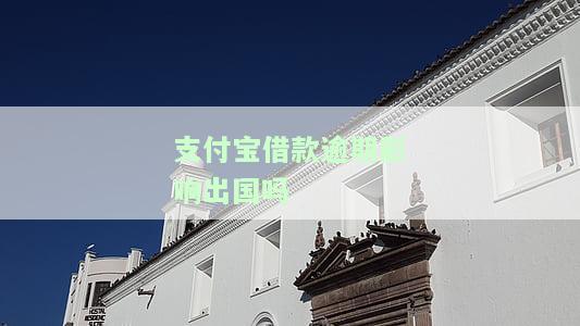 支付宝借款逾期了怎么办会不会蹲监狱，支付宝借款逾期未还，是否会导致蹲监狱？解决方案在此！