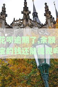 花呗逾期了转入余额宝的钱怎么样才会不立马扣了了，如何避免花呗逾期后，转入余额宝的钱被立即扣除？