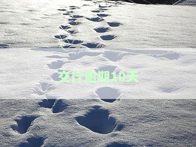 交行逾期10天-交行逾期10天客服说不上征信是真的吗
